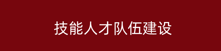 技能人才隊(duì)伍建設(shè)